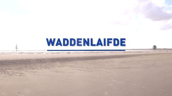 ‘Waddenlaifde’ met veerbootmedewerker Reinder van der Boor: ‘Ik ben al 45.000 keer heen en weer geweest’
