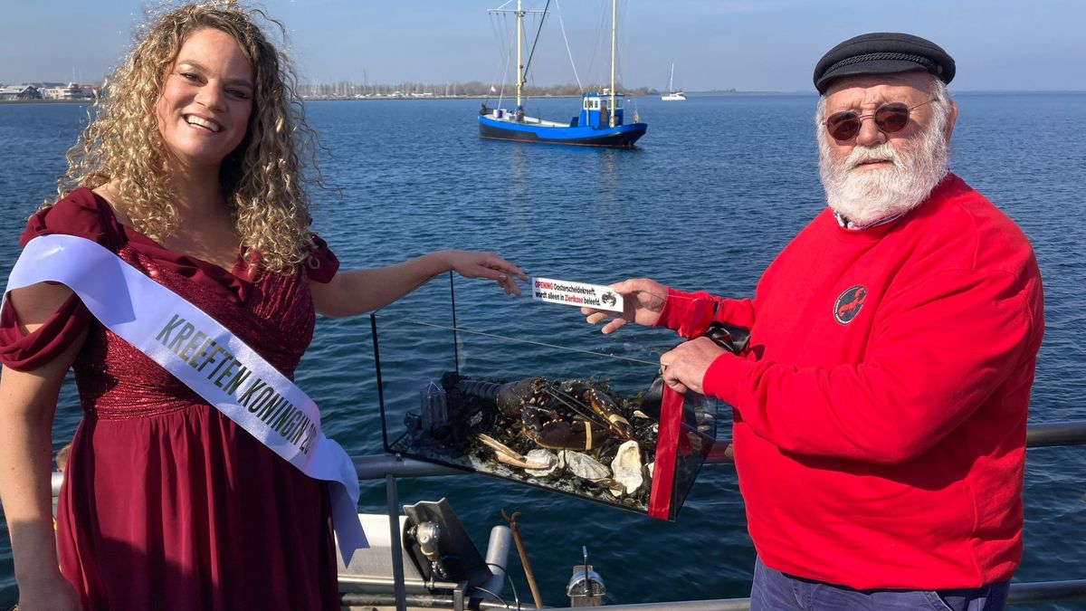 Kreeften uit Grevelingen moeten seizoen beetje glans geven: 'Niet normaal hoeveel we er hier in het 