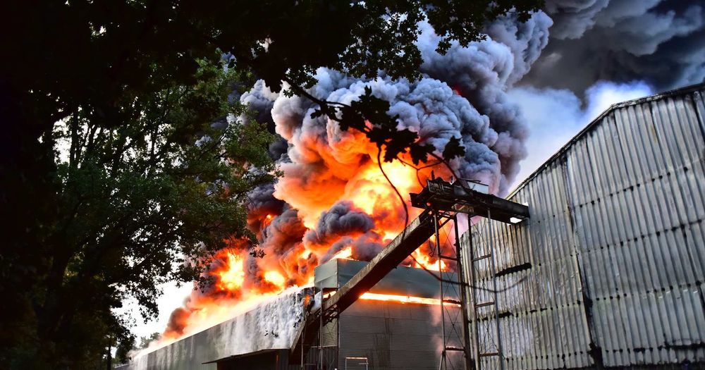 50.000 kippen van BZV-boer John sterven bij grote brand Heibloem - L1 Nieuws