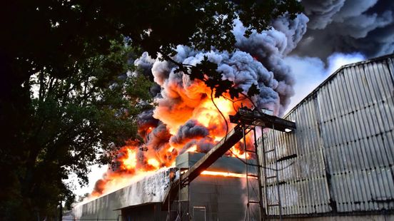 Landelijk 60.000 dieren omgekomen bij stalbranden, 50.000 daarvan bij één Limburgse brand Home