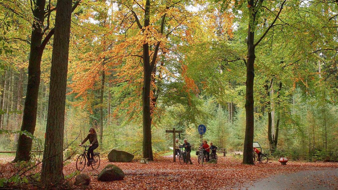 De Hondsrug is rijk aan wandel- en fietsroutes door de natuur (Rechten: De Hondsrug - landschap van eeuwen)