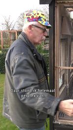 Duiven van Tinus gestolen