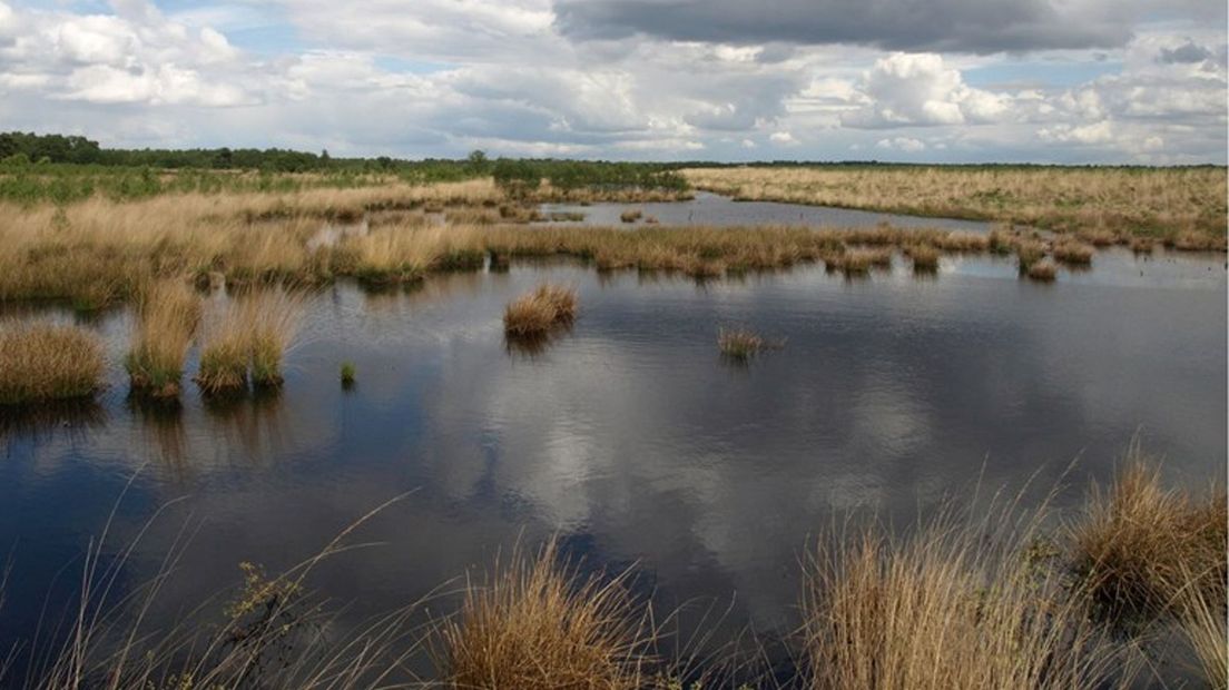 Het ideaalbeeld voor Engbertsdijksvenen: een open landschap met veel water.