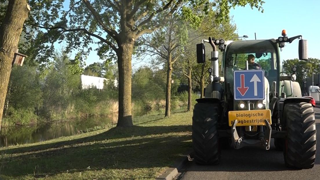 De rups wordt bestreden.
