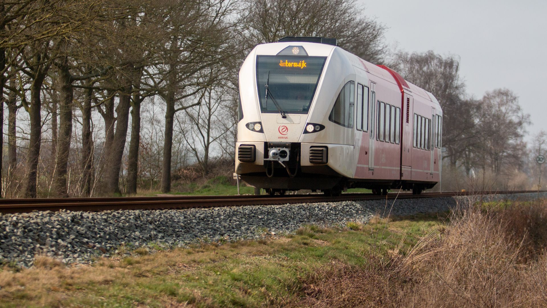 De trein op weg naar Winterswijk