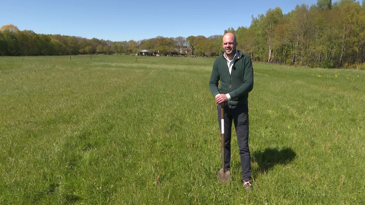 Boeren bij Darp maken meer ruimte voor planten en dieren