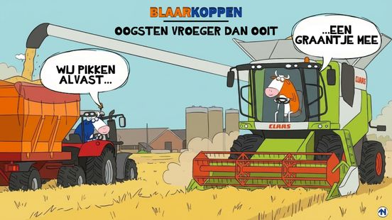 Blaarkoppen zijn er door het warme weer vroeg bij