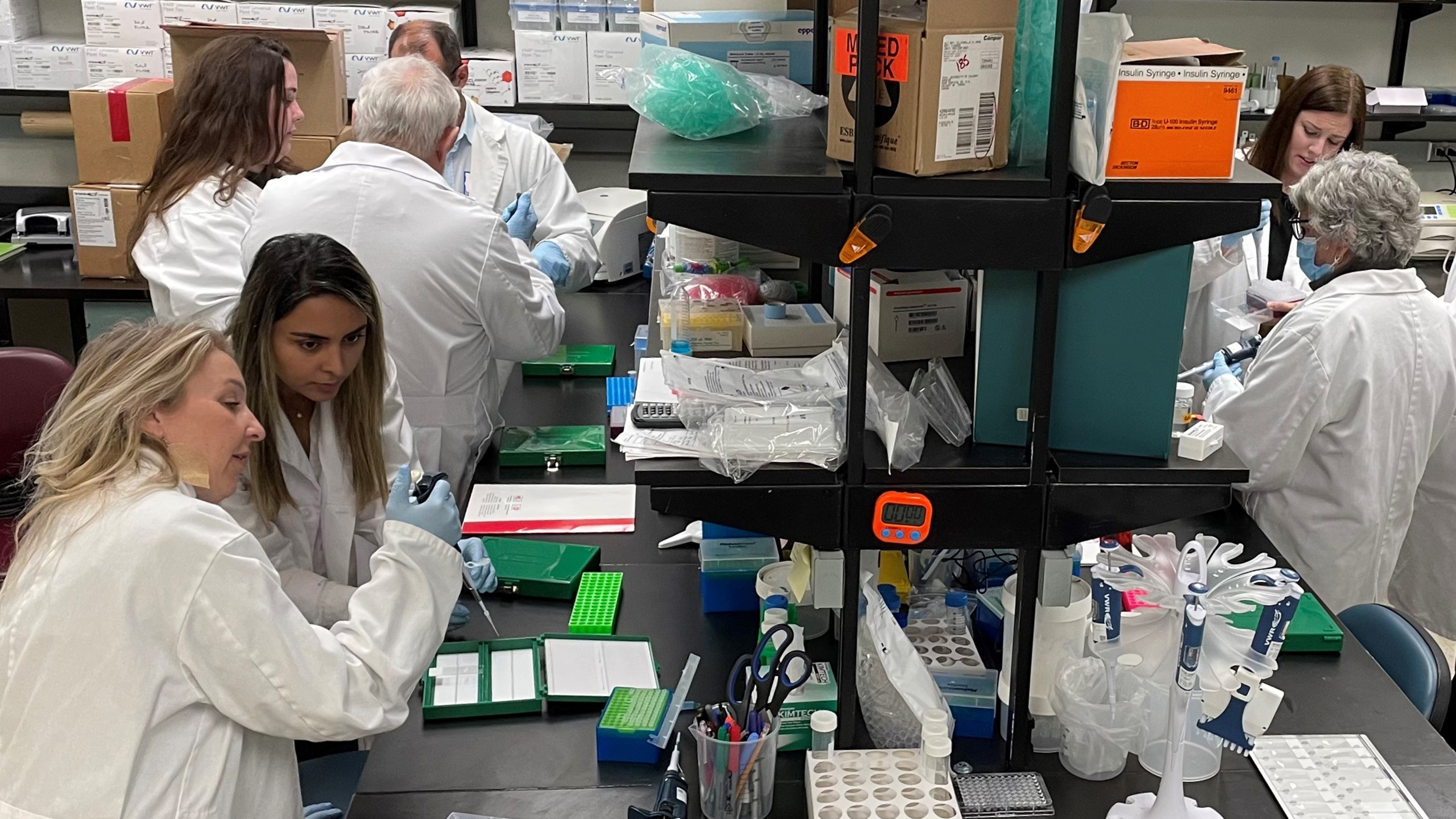 Hedwichs onderzoeksteam aan het werk in het lab