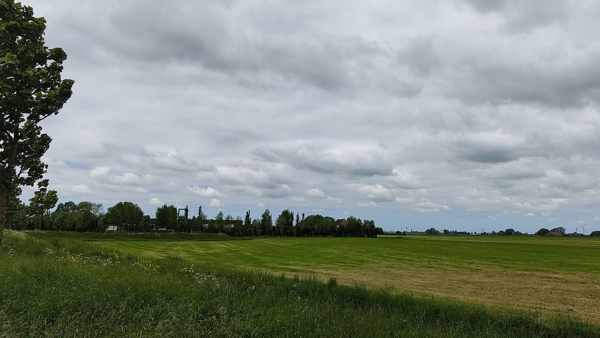 It gebiet njonken it krematoarium dêr't de huzen komme
