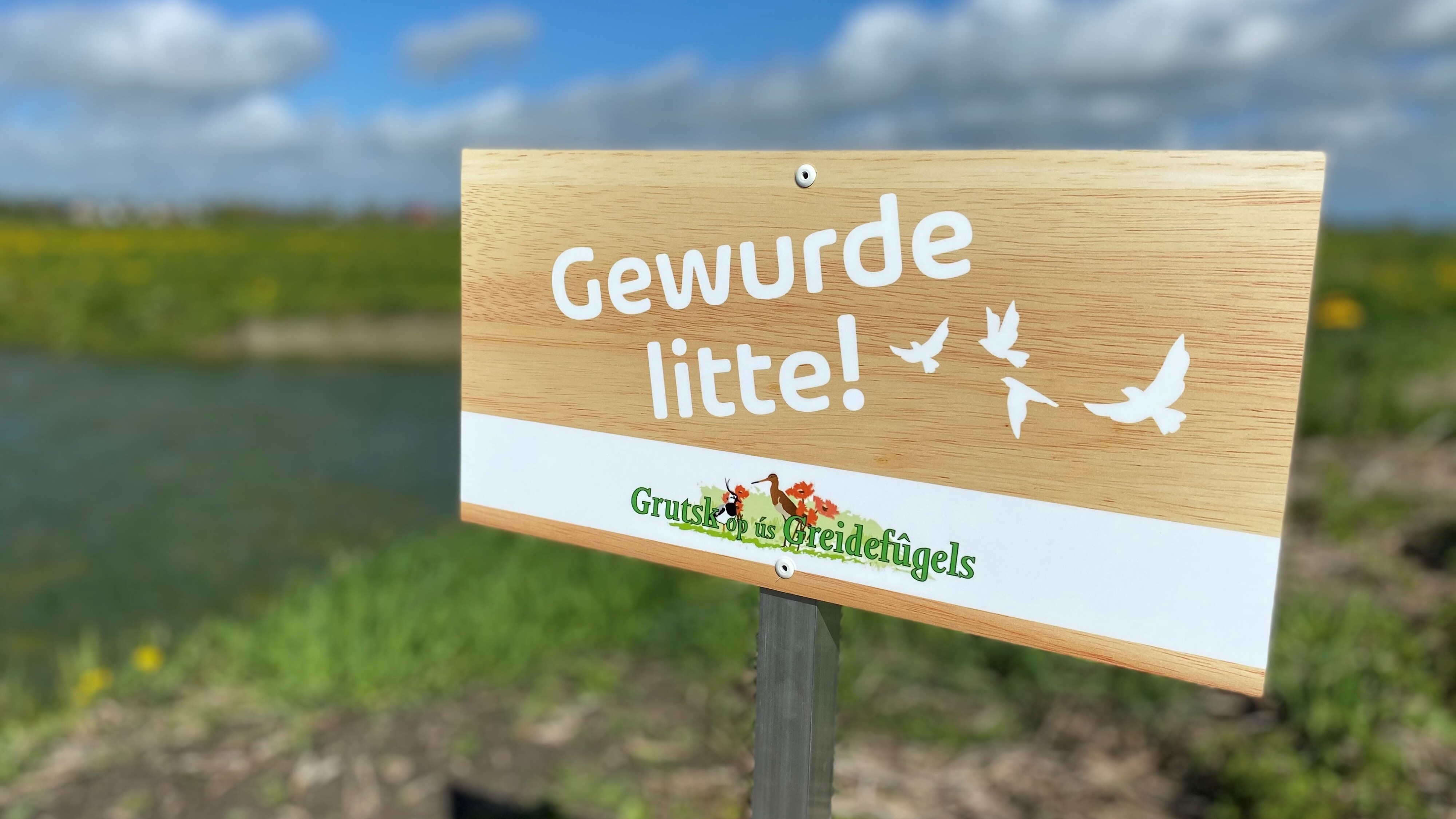 De kampanje 'Gewurde litte' fan it inisjatyf 'Grutsk op ús Greidefûgels'