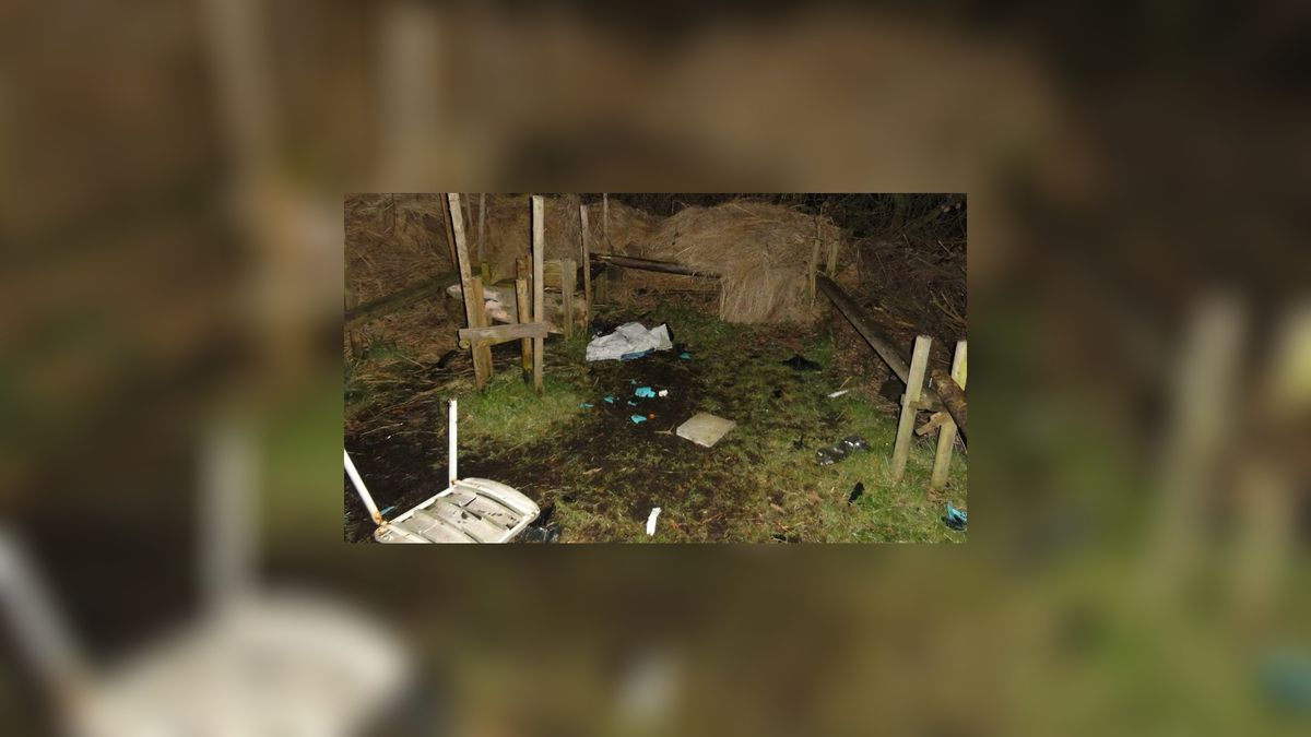 Vandalen vernielen vogelringstation Rohel bij Tsjûkemar