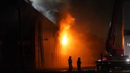 Brand in bedrijfspand is aangestoken: 'Eerste kwartier alleen maar gejankt'