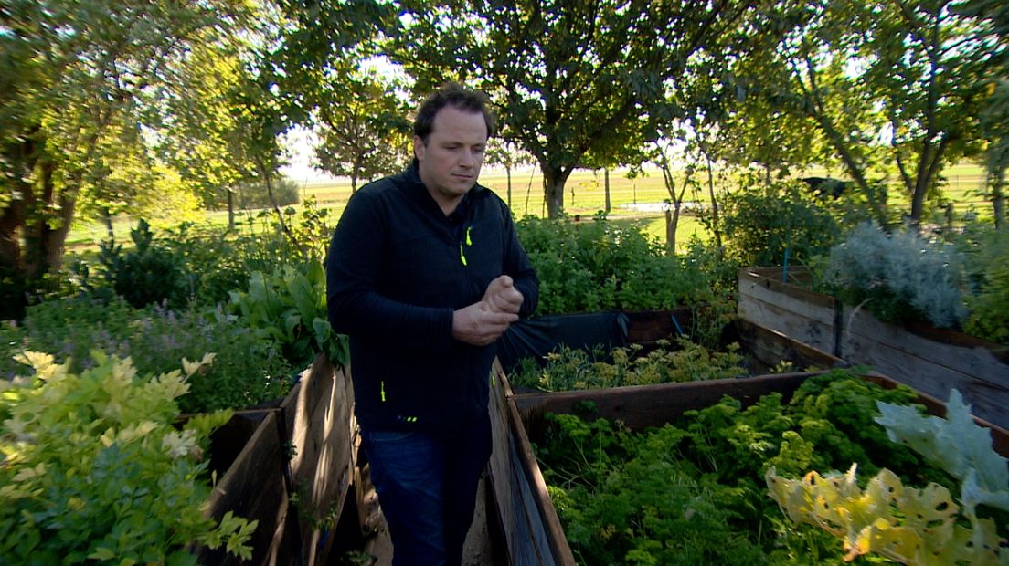 Kunnen asperges of bonen ook groeien op zilte grond?