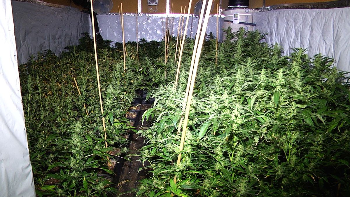 Raad van State: Burgemeester mocht drugswoning Nieuw-Dordrecht sluiten