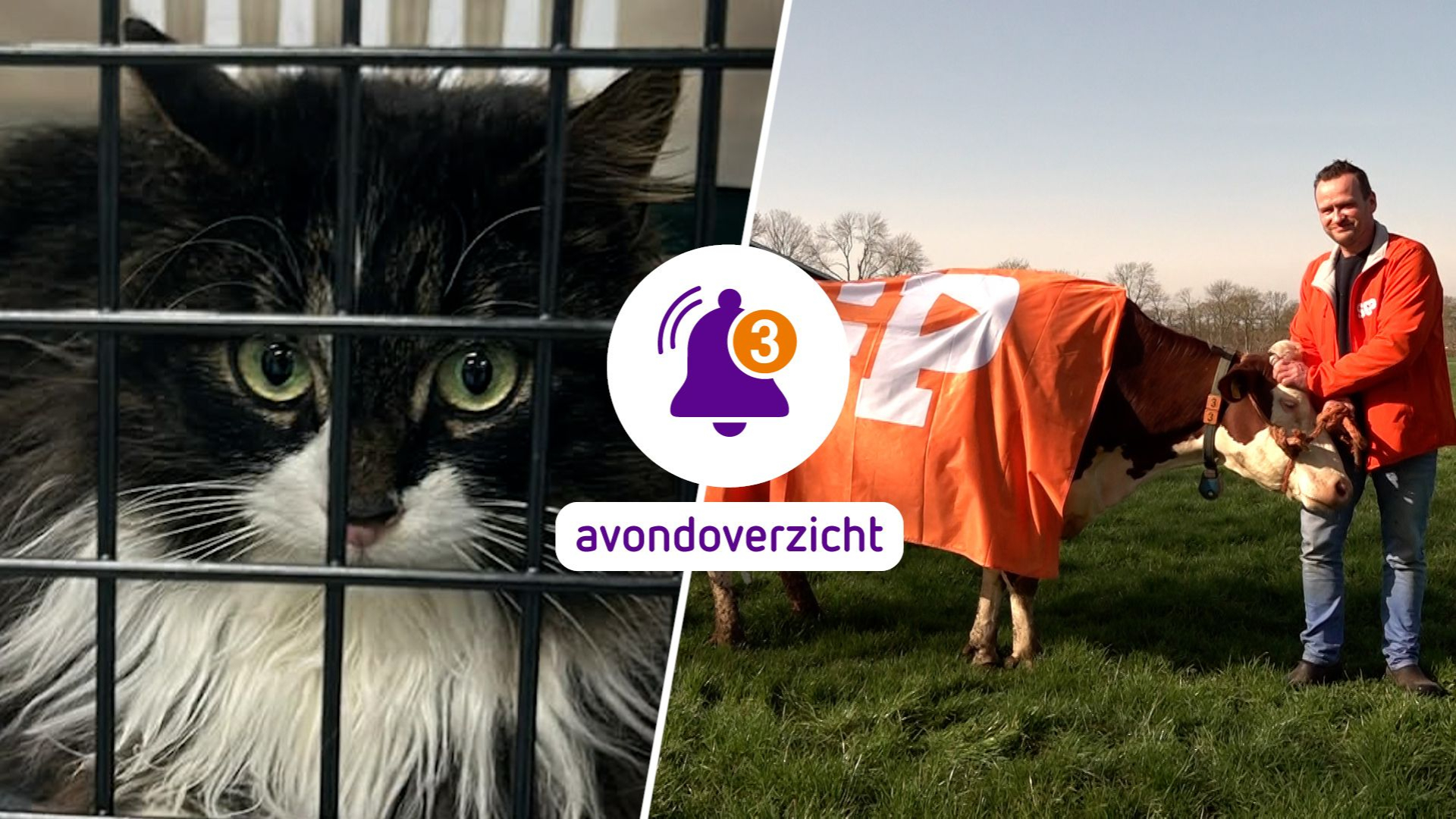 Een grote brand, sport, en Sky is eindelijk terug; dit was zaterdag 28 februari