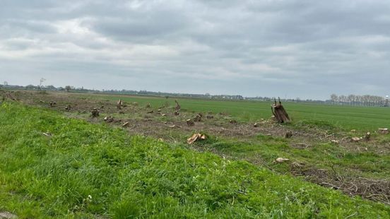 Landschapsvereniging: '20 hectare natuur verdwenen in West Betuwe'