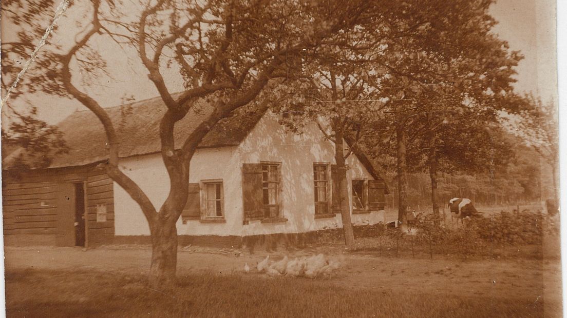 Oude foto van een koloniehuisje aan de Hooiweg in Frederiksoord
