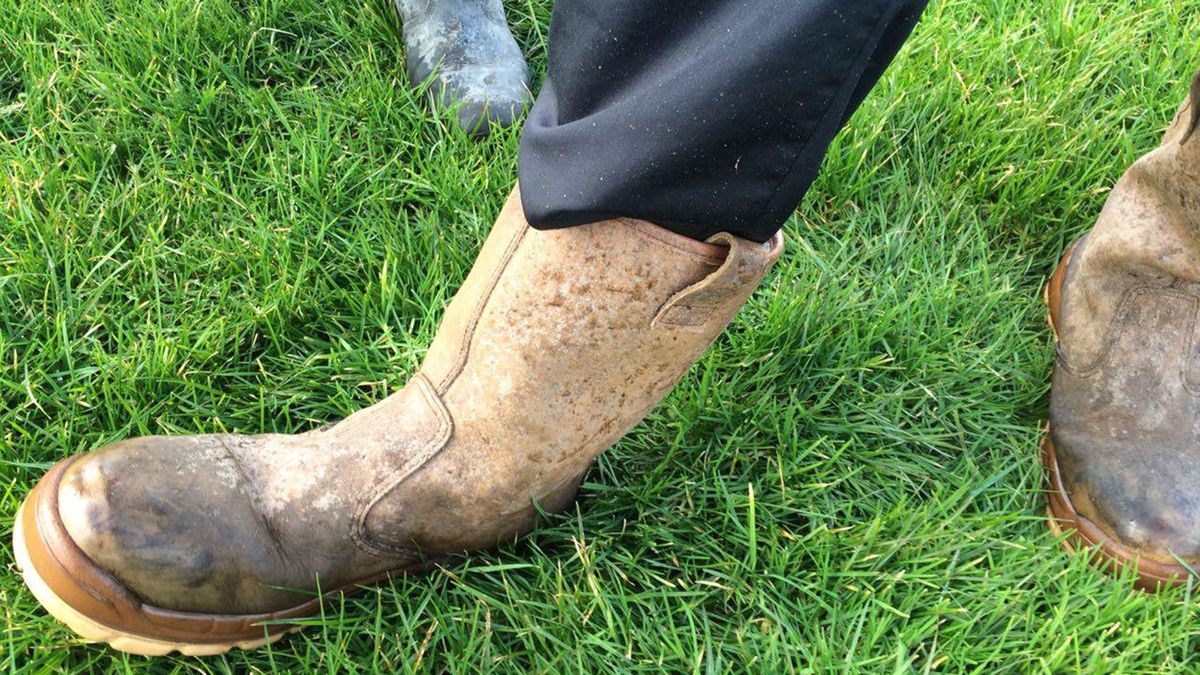 Verslaggever Theo Sikkema sopt door het veld in Drieborg