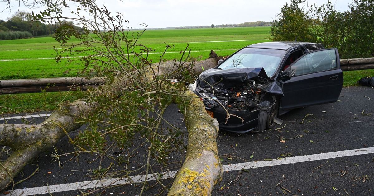 Storm op komst? Zo vermijd je schade