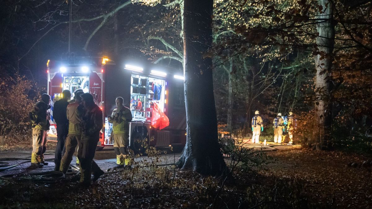 Honderden liters drugsafval gedumpt in bos Lage Vuursche