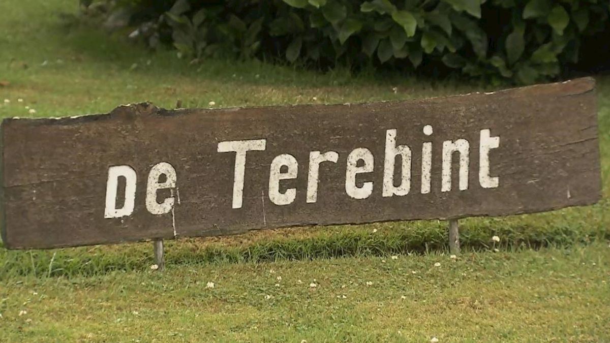De Terebint eist 102.000 euro van oud-medewerkster