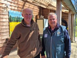 Bijensterfte in Drenthe hoger dan landelijk gemiddelde