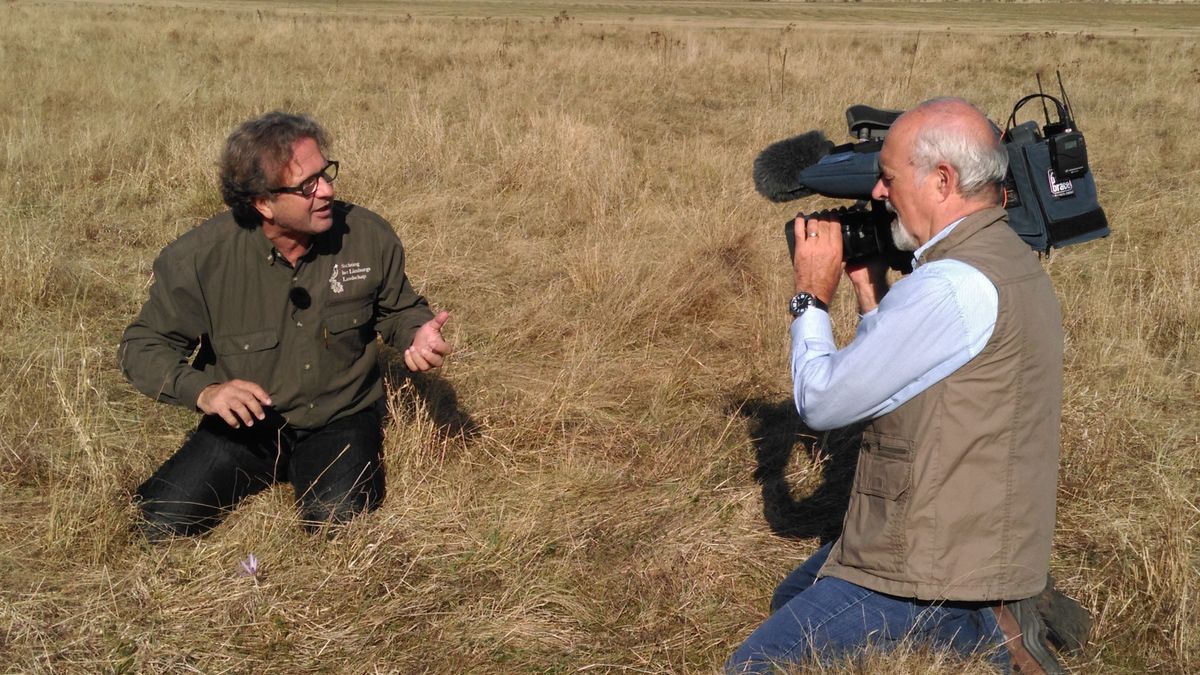 Natuurlijk Limburg naar de Torenmolen van Gronsveld