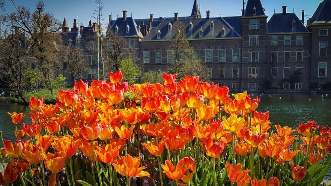 IN BEELD: Prachtige Eerste Paasdag - Omroep West