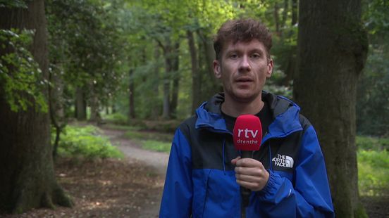 Twee nieuwe wolvenroedels in Drenthe