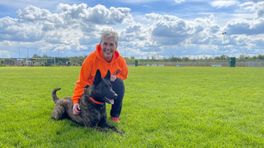 Hondensport Hoogkerk gaat naar WK Hollandse Honden in Duitsland
