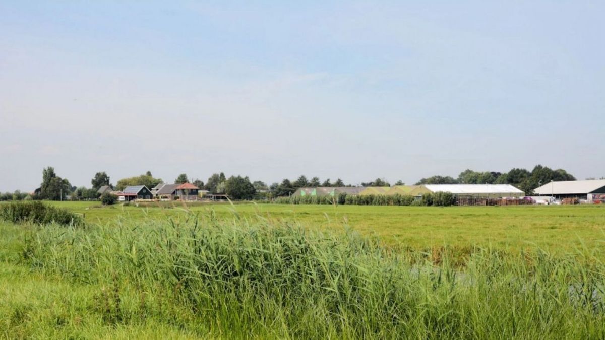 Omwonenden willen weidevogelgebied op plek bedrijventerrein, eigenaar dreigt met miljoenenclaim