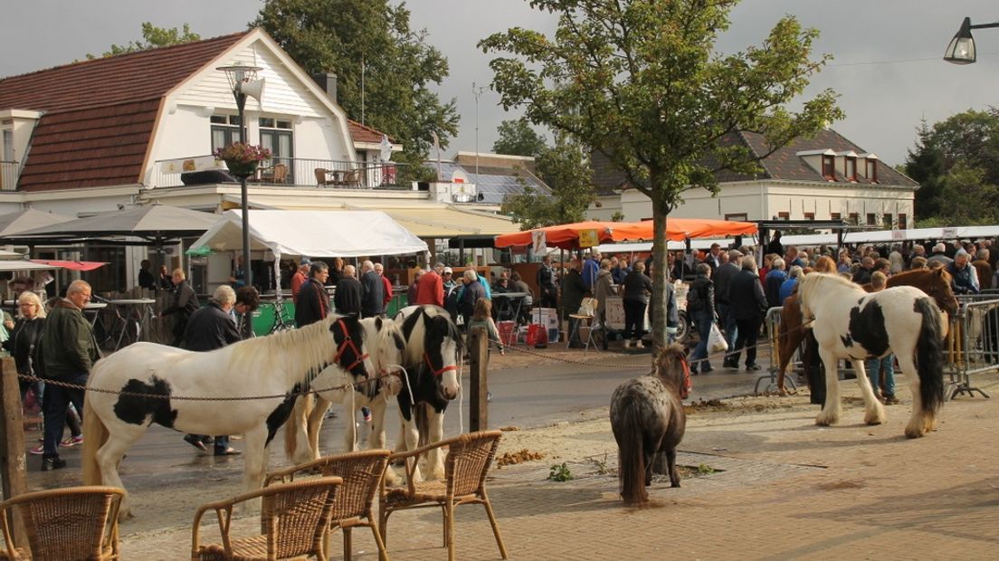 Paardenmarkt (Rechten: Roel Lubbers uit Roden)
