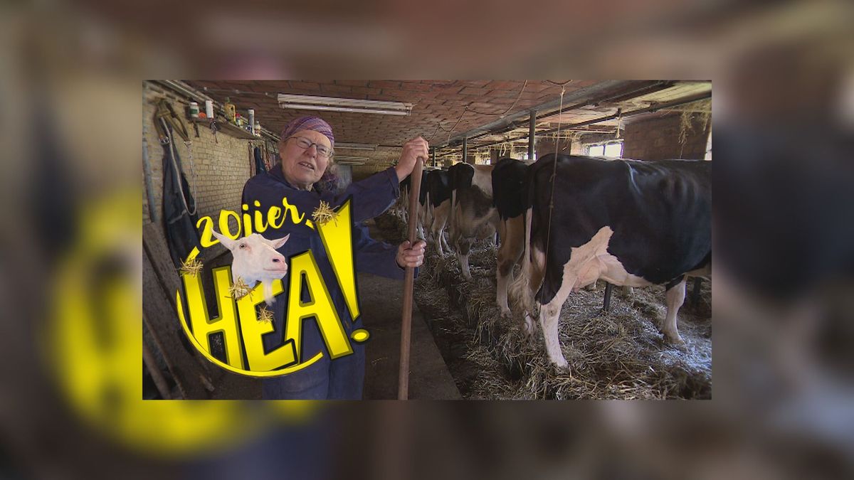 HEA! Boerin Nynke Cuperus zet door