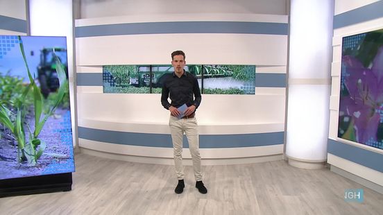 Eindresultaat proef Duurzame Bollenteelt Drenthe: fors minder landbouwgif mogelijk