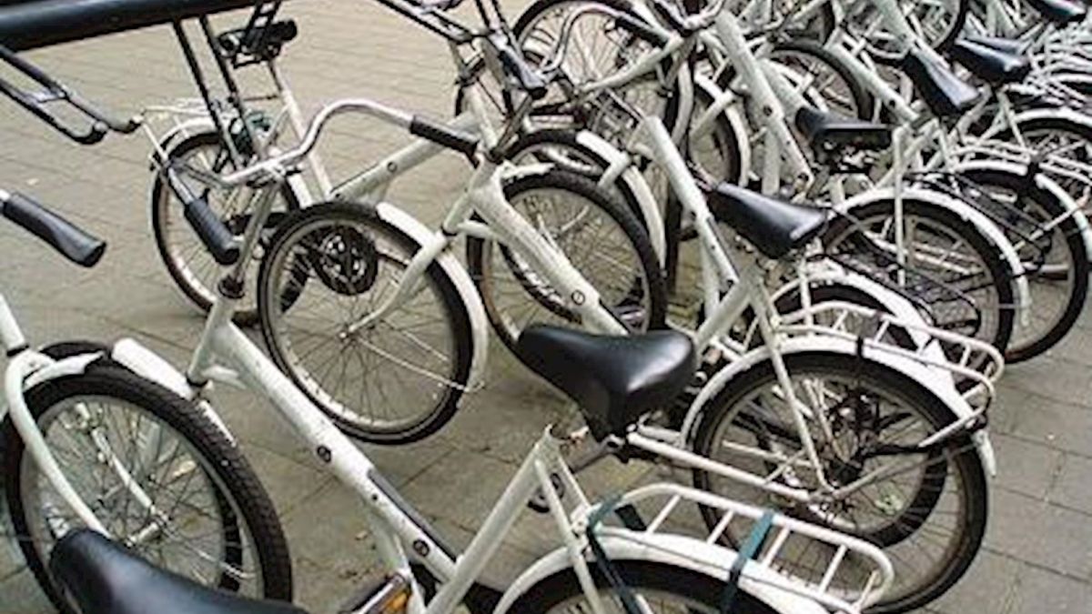 'Witte fietsenplan voor Zwolle' - RTV Oost
