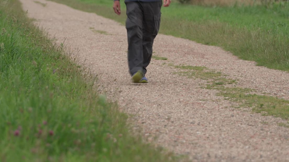 Wandelen met je oren door een natuurgebied