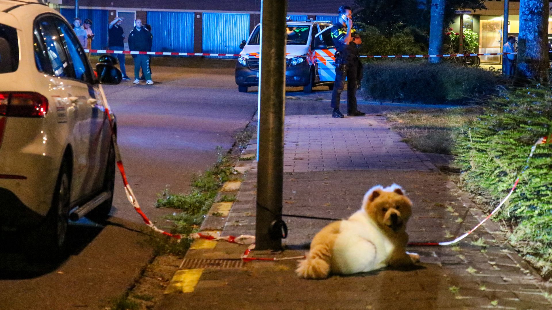 Hond Blijft Moederziel Alleen Op Straat Liggen Na Doodschieten Baasje ...