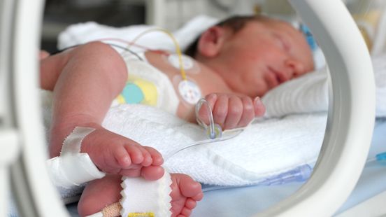 Baby's vaker te vroeg en te klein geboren in kwetsbare wijken zoals Heerlen-Noord Home