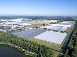 Emmen wil glastuinbouw in Erica, transformatie voor Klazienaveen