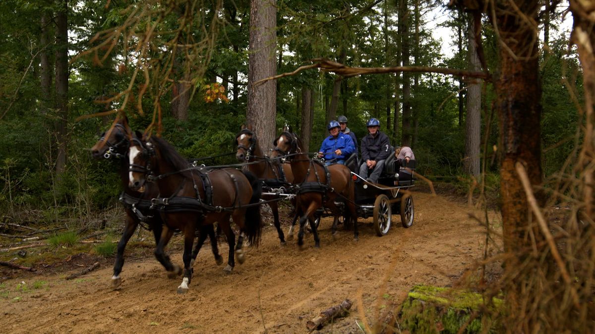 Paardenvierdaagse Zorgvlied gered door nieuw bestuur