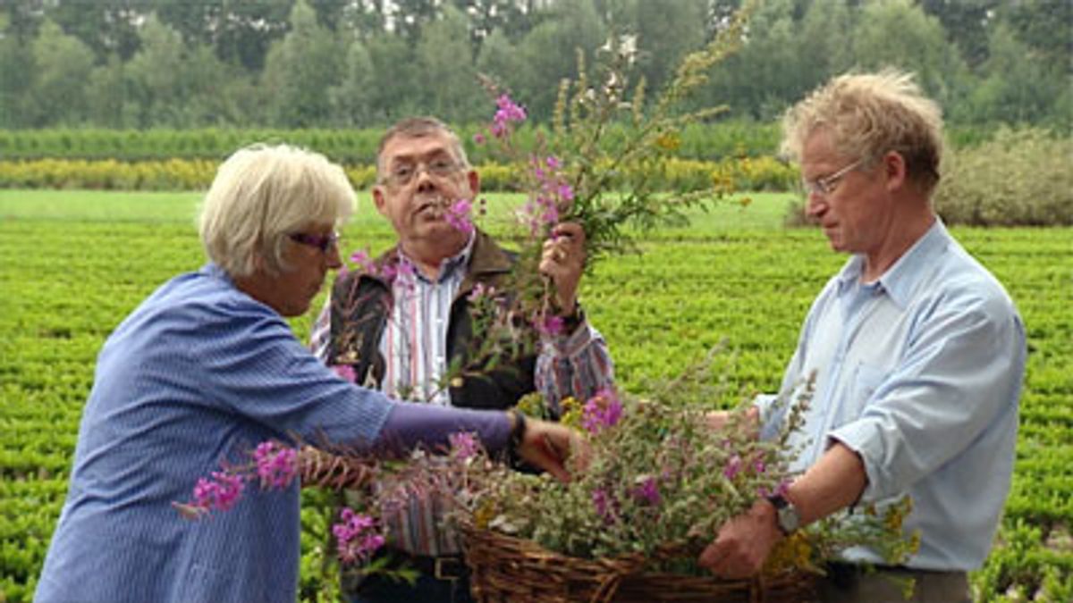REPORTAGE: Kroedwis-dag in Melderslo