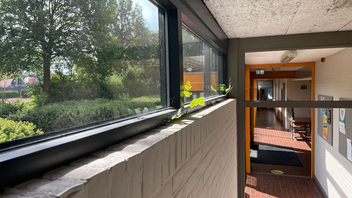 Coevorden komt met noodplan voor onderhoud sporthallen
