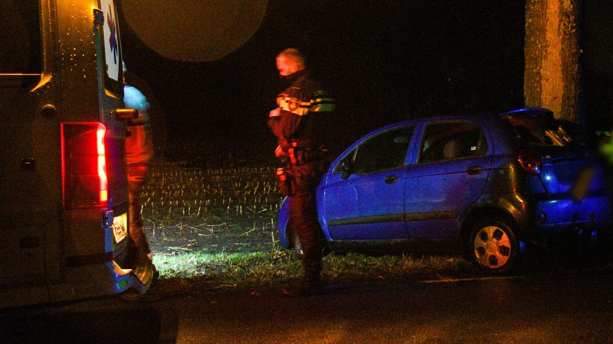 Auto botst tegen boom in Buinen, één persoon gewond