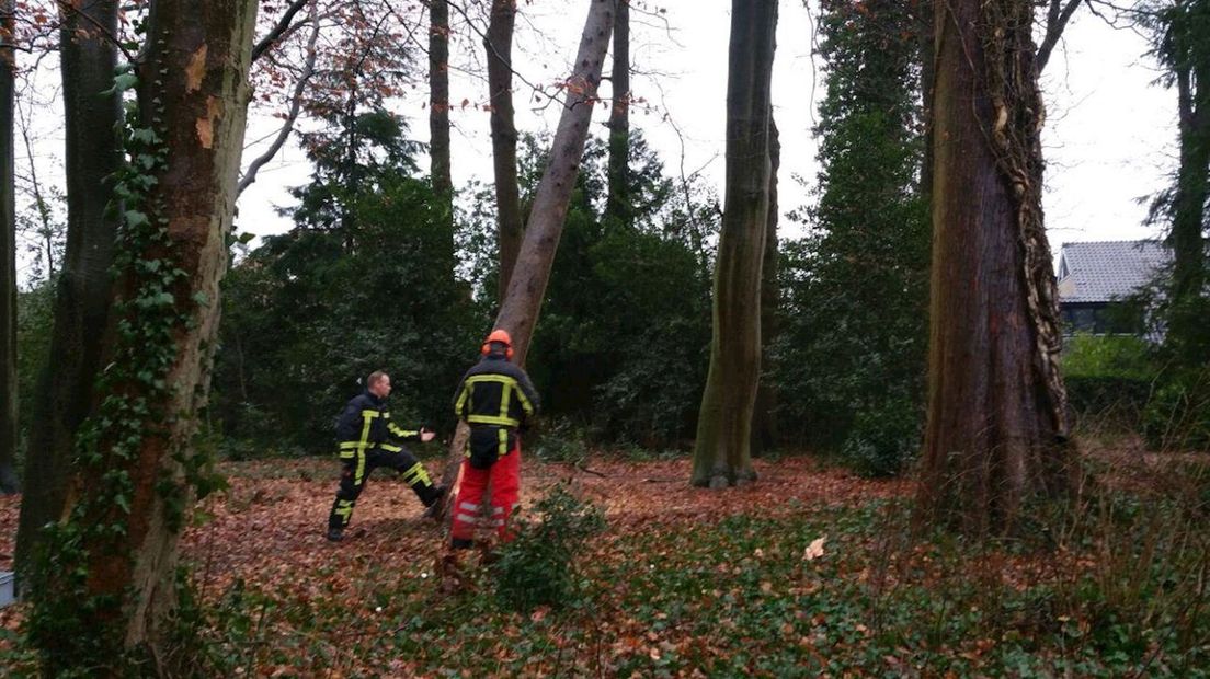 Een klein zetje en daar gaat-ie