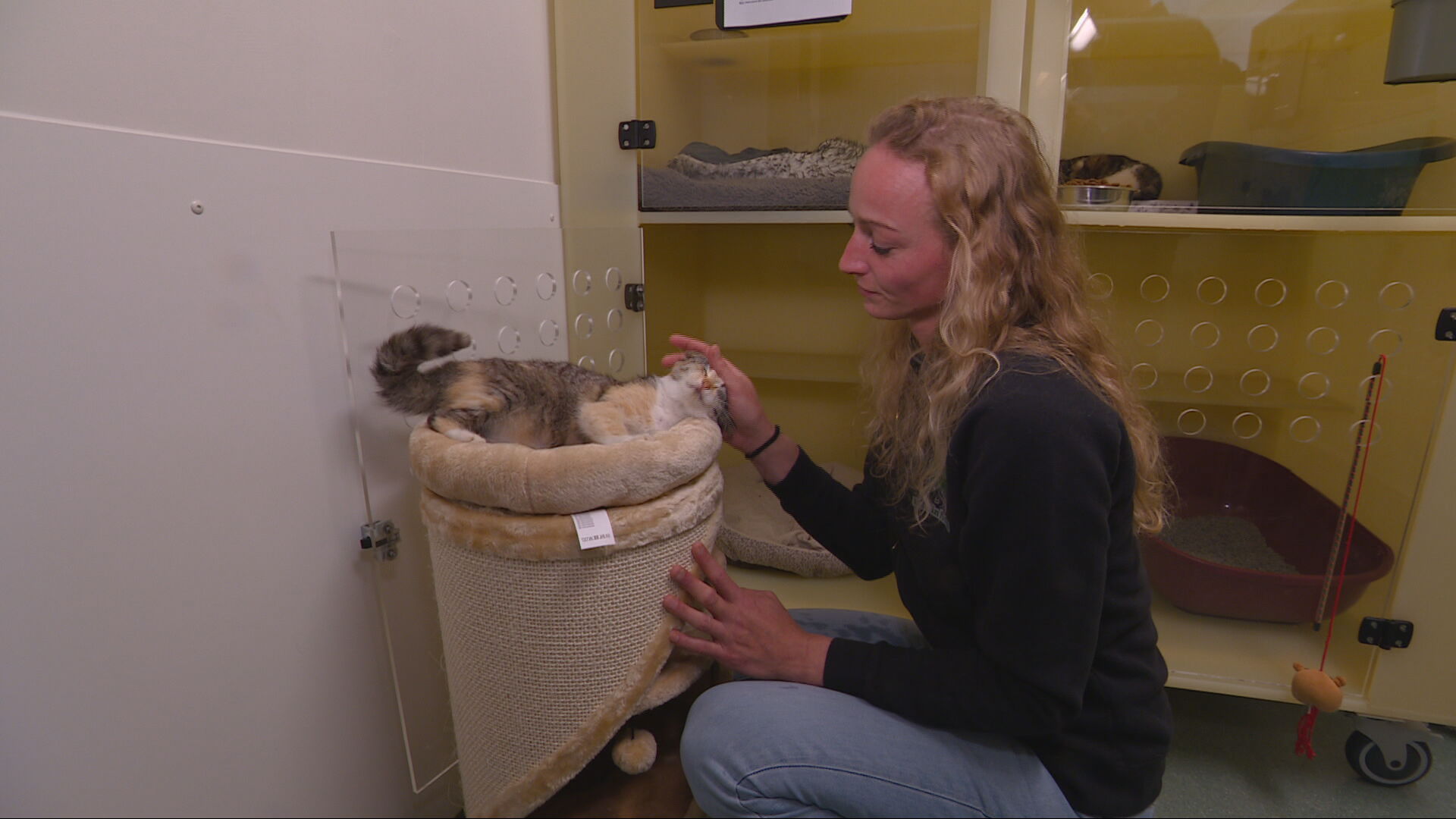 Jolanda Prins mei in ferswakke kat
