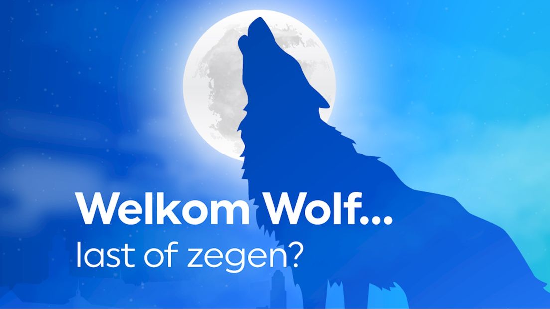 Welkom Wolf... last of zegen?