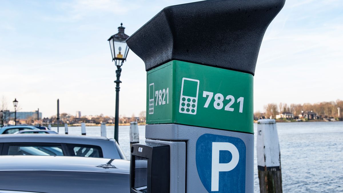 Bijna overal betaald parkeren binnen ring Rotterdam: zo kun je toch