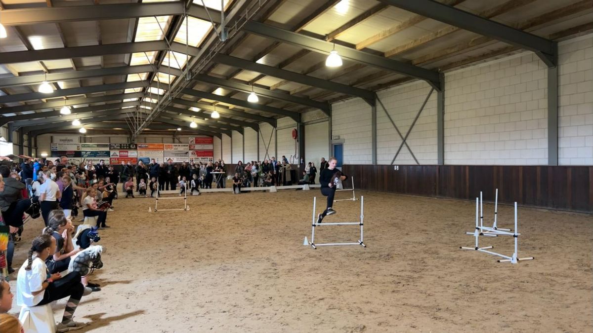 Groot stokpaard-evenement in Hagestein: 'Het is best zwaar om te doen'