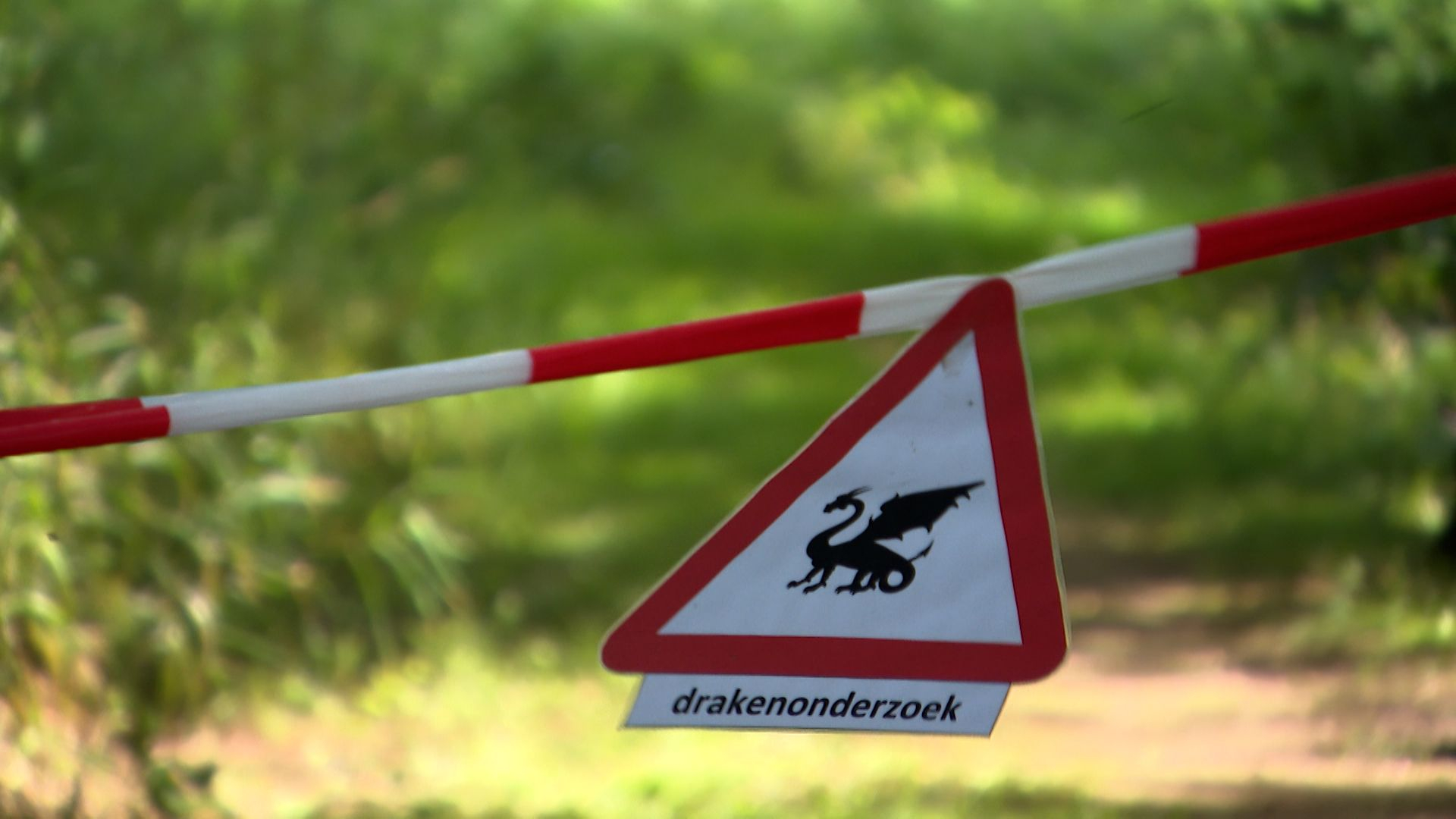 Draken in de bossen van Hernen, deze kinderen vinden het fantastisch