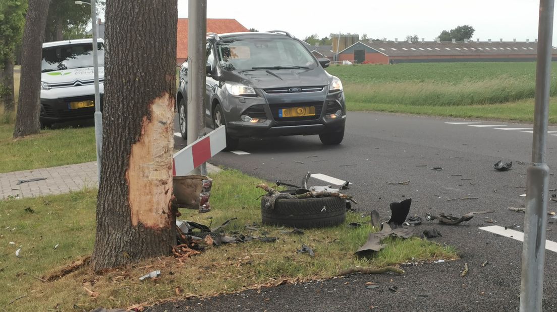 De boom die door de automobilist werd geraakt.